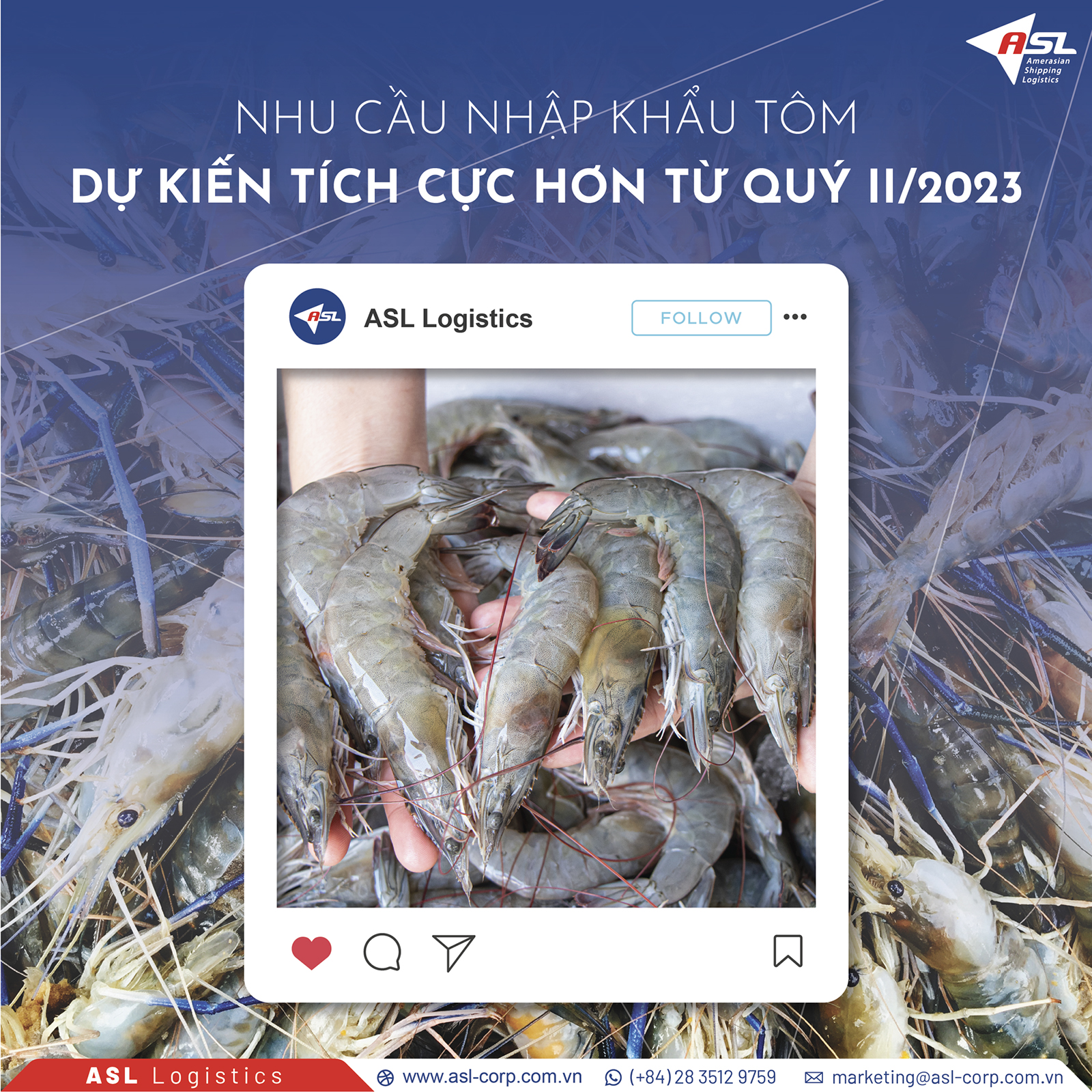 SHRIMP IMPORT DEMAND IS EXPECTED TO BE MORE POSITIVE FROM THE SECOND QUARTER OF 2023